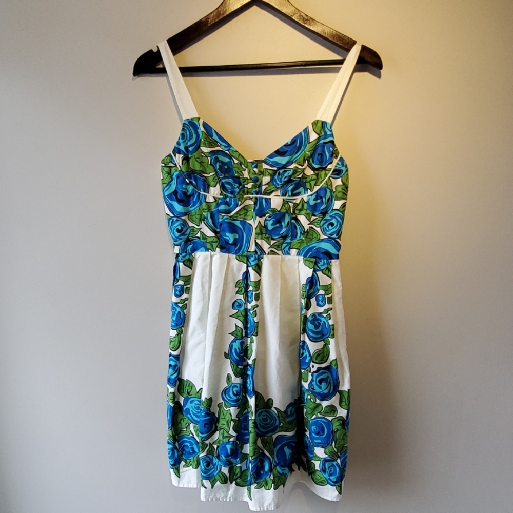 Vintage skater dress
